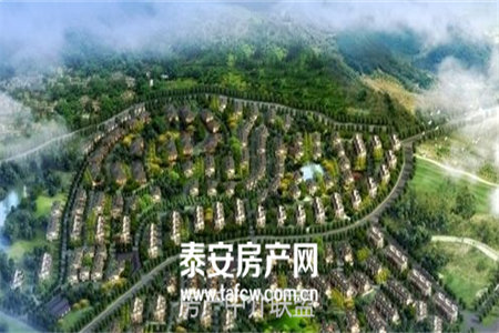 二实小实验中学附近铂悦府复式有证可分期